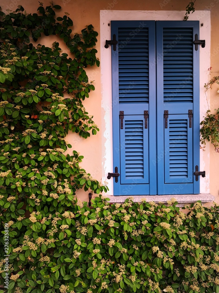 Closed window with blue shutters Closed window with blue shutters
