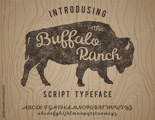 The Buffalo Ranch. Original handmade typeface. Stylish font and logo to create prints and posters. Script hand made font.