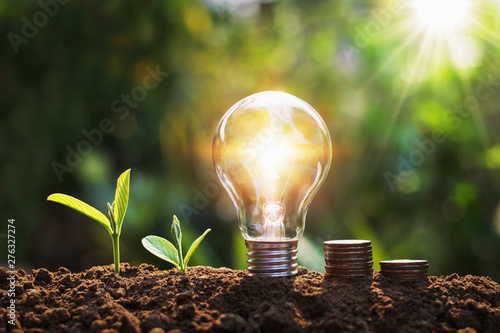 lightbulb with tree and coins on soil sunshine background concept saving energy and finance photo