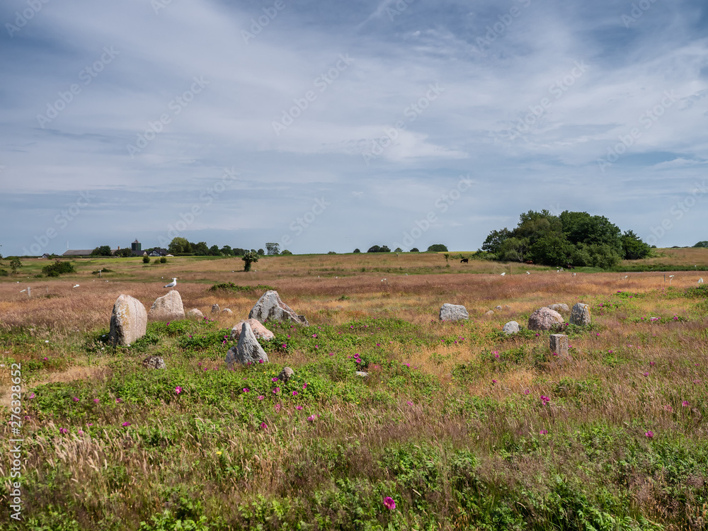 Obraz premium Iron age burial mounds on Hjarnoe island in Denmark