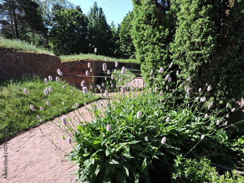 path in summer garden, Kotka, Finland