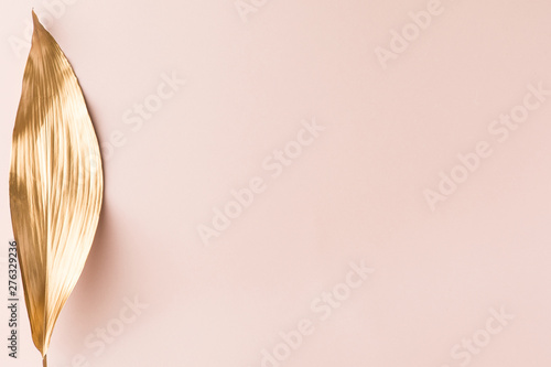 Top view of gold tropical palm leaf on pink background. Flat lay, view from a...