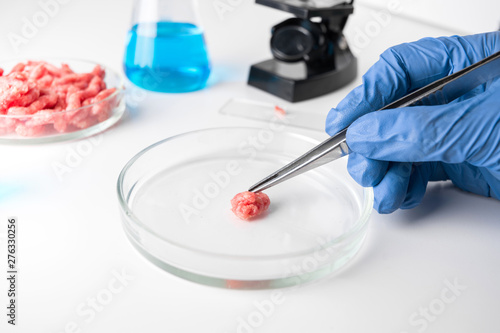 Artificial minced meat in Petri dish in hands scientist. Chemical experiment. Laboratory science studies.