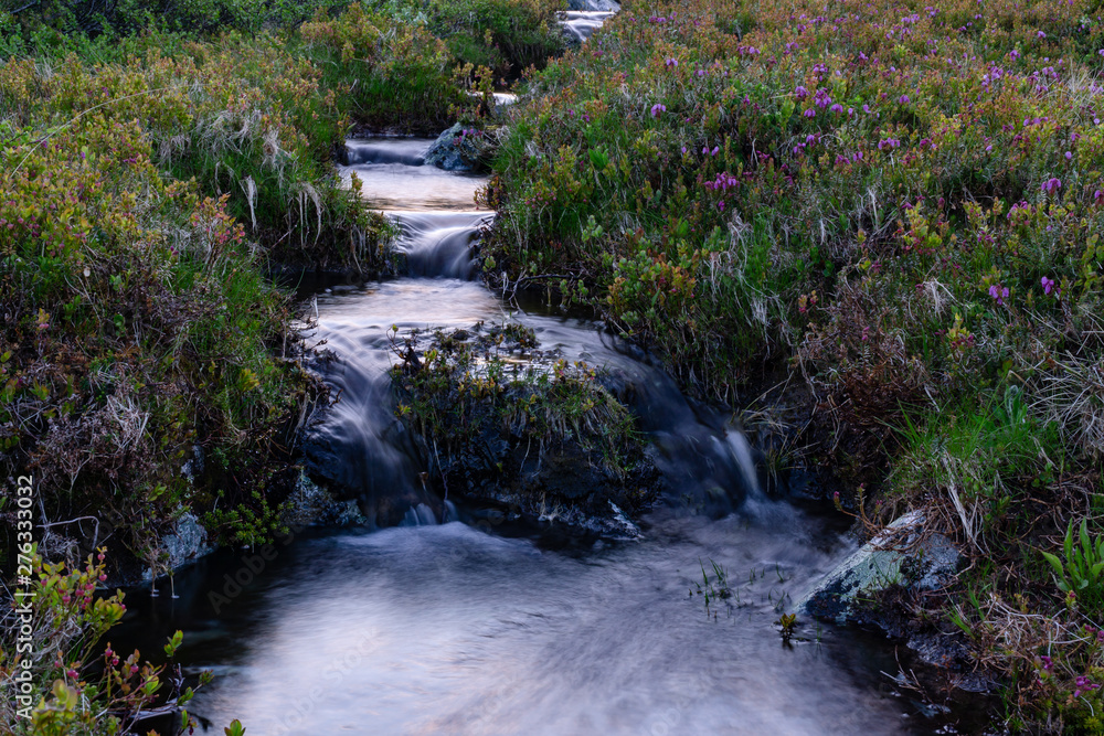 The rapids of the northern river in the night taiga The rapids of the northern river in the night taiga