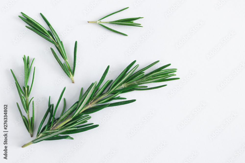 Fototapeta premium Rosemary sprigs collection close-up on white background, top view