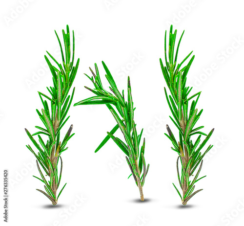 Fresh green sprigs of rosemary isolated on a white background