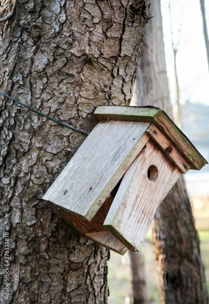 Nistkasten am Baum 