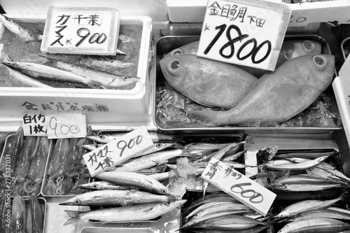 Japan fish market photo