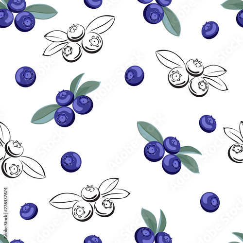 Blueberry seamless pattern on white background. Vector illustration of сolor and black and white berries. Vector outline and silhouette contour image.