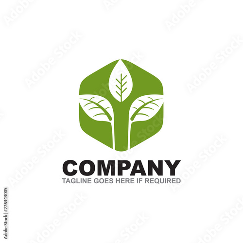 Leaf icon logo design inspiration vector template