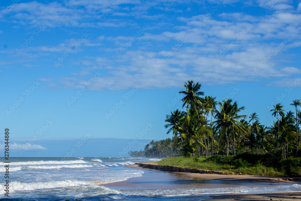Fototapeta premium praia no brasil