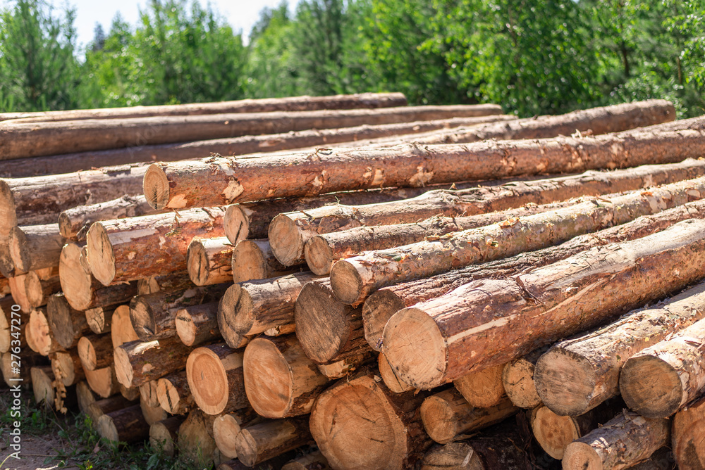 deforestation, stacked logs 