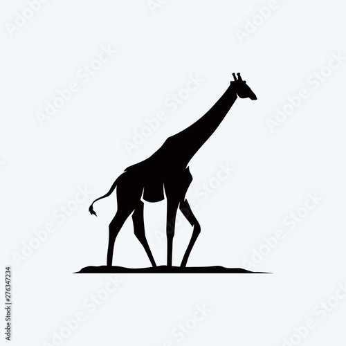 black giraffe vector illustration. giraffe, silhouette, africa, african, black, logo, animal, herbivore, vector, walk, tall, white, wild, wildlife, zoo