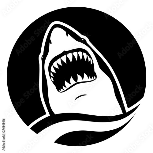 Shark in circle