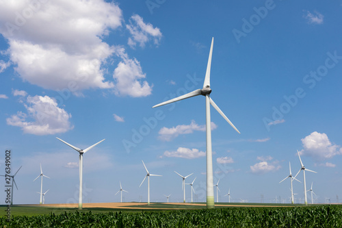 Windmills at the Danube Delta