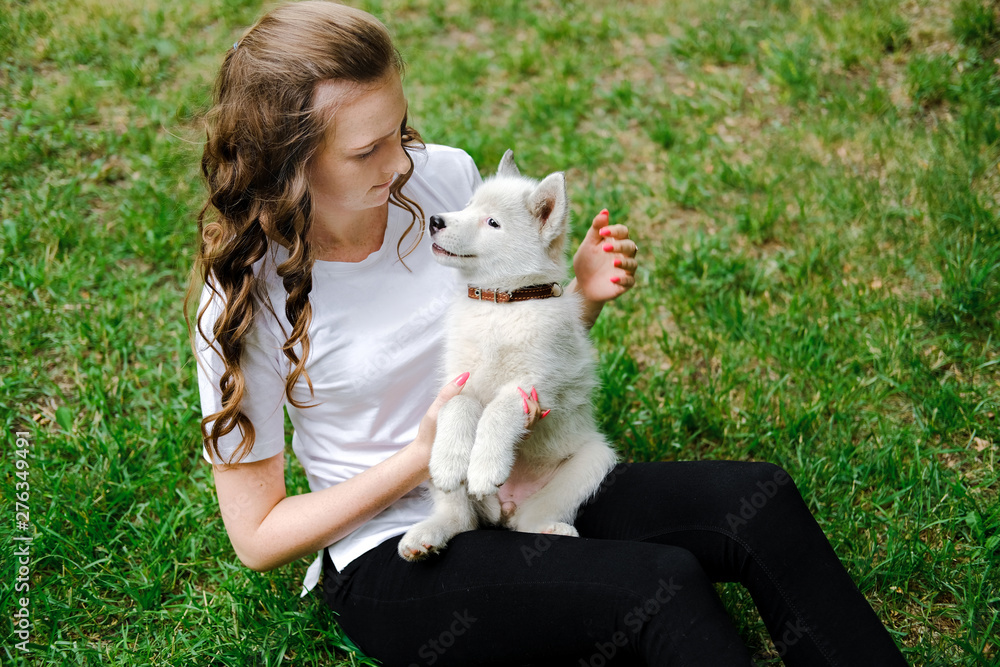 Little white puppy Husky 2 months old on the grass in park. Summer dog walking. Young girl holding her pet in her arms. Little white puppy Husky 2 months old on the grass in park. Summer dog walking. Young girl holding her pet in her arms.