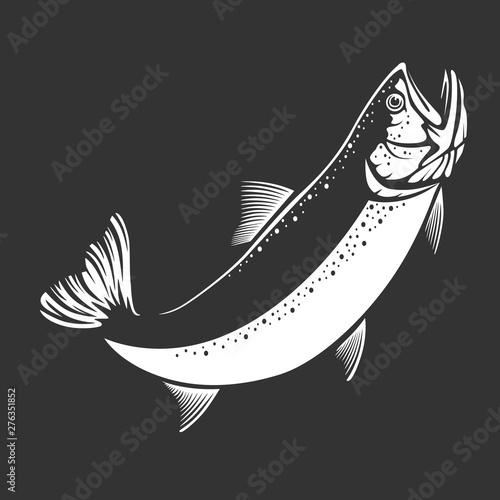 Rainbow trout jumping out water.Salmon isolated on white background. Concept art for horoscope, tattoo or colouring book.