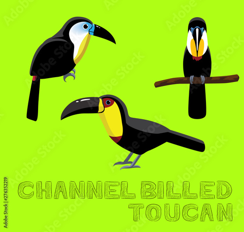 Channel Billed Toucan Cartoon Vector Illustration
