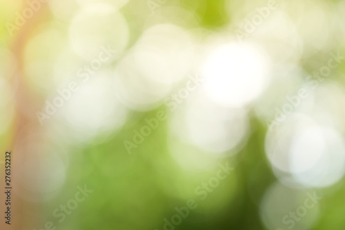 Sunny abstract green nature background, Blur park with bokeh light , nature, garden, spring and summer season