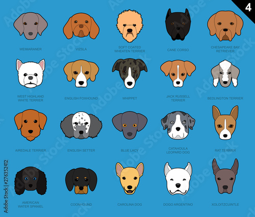 Dog Faces Stroke Icon Cartoon 4