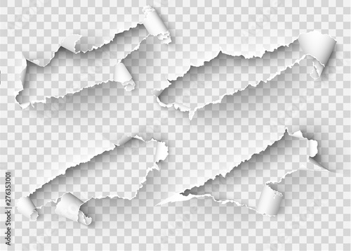 Torn ripped paper vector template, sides with ripped edges on realistic paper background. Ripped side set of banners for web and print and space for text.