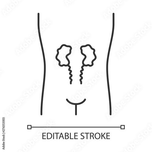 Ill kidneys linear icon. Sore human organ. Unhealthy urinary system. Nephropathy. Kidney failure. Thin line illustration. Contour symbol. Vector isolated outline drawing. Editable stroke