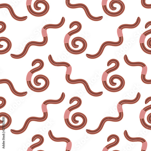Animal Earth Red Worms for Fishing Seamless Pattern on White Background photo