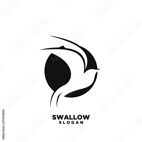 swallow bird logo icon designs vector