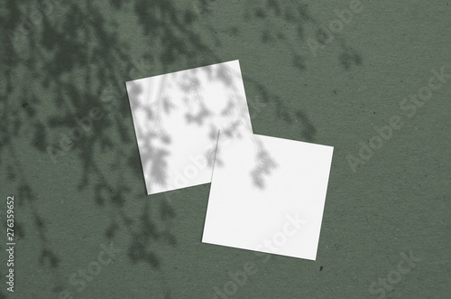 Wallpaper Mural square business card Mockup. Natural overlay lighting shadows the leaves. Scene of Leaf Shadows. Torontodigital.ca