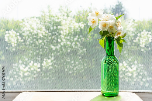 Bouquet of jasmine is on the table by the window in a green bottle on the background of jasmine bushes. photo