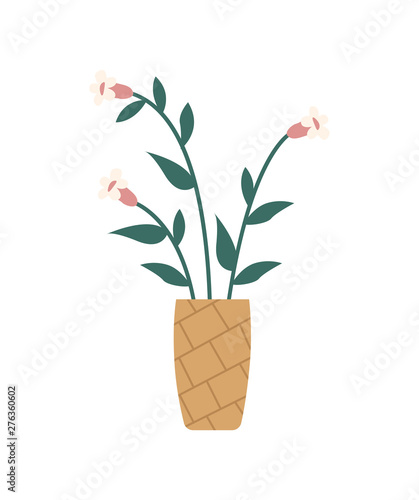 Flowers in vase isolated blossoms. Vector plants growing in pot, pink buds and green leaves home decoration element. Spring flora, botanical growings