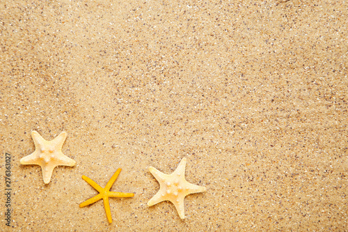 Starfishes on beach sand