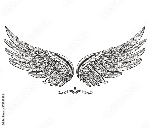 Vintage wings isolated on white background. Design elements for logo, label, emblem, sign, brand mark. Vector illustration.