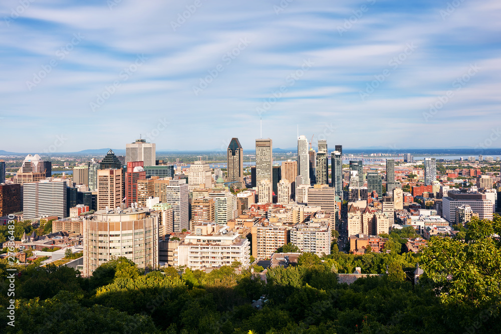 Fototapeta premium Montreal city skyline view from Mount Royal on a sunny summer afternoon in Quebec, Canada