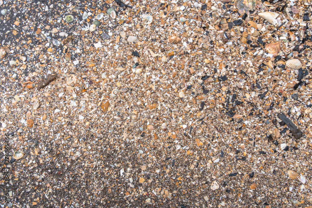 Scattered shells on a black beach. black sand beach is in Trat Thailand. Black sand has many medicinal properties. Travelers prefer to sleep in the sand. Or take a foot soaked in sand