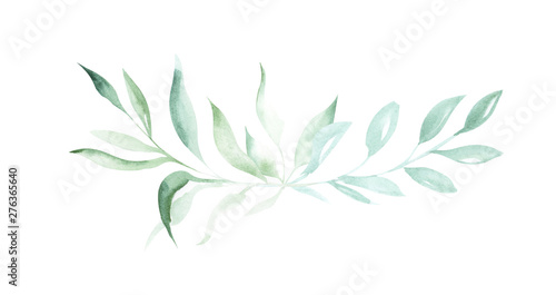 Illustration of watercolor drawing decorative elements of green plants and leaves in the form of frames on an isolated white background. photo