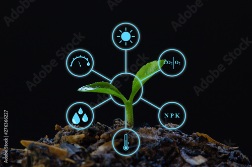 A modern Agricultural farm field with technology concept. Orange seedlings with digital display showing a 6 factors for plant good growth. Depicts the use of modern technology in agriculture.