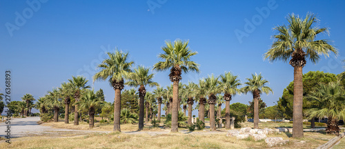 The ruined remains of an ancient gate among the palm trees in Pamukkale, Turkey, panoramic banner