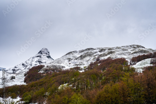 Montenegro, Beautiful durmitor national park nature landscape of colorful trees and snow covered mountains in untouched scenery seen from sedlo pass route