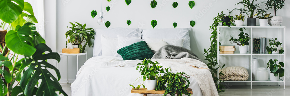 Panoramic view of white and green bedroom with king size bed and urban jungle - obrazy, fototapety, plakaty 