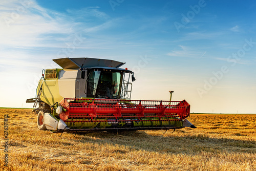 Combine harvester in the wheat field in summer season harvesting the crops in a sunny day