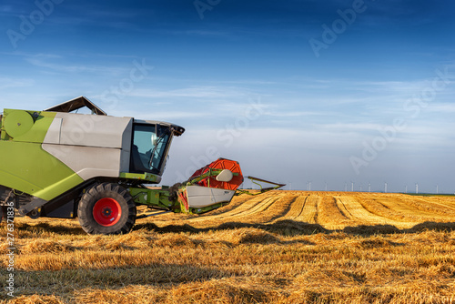 Combine harvester in the wheat field in summer season harvesting the crops in a sunny day