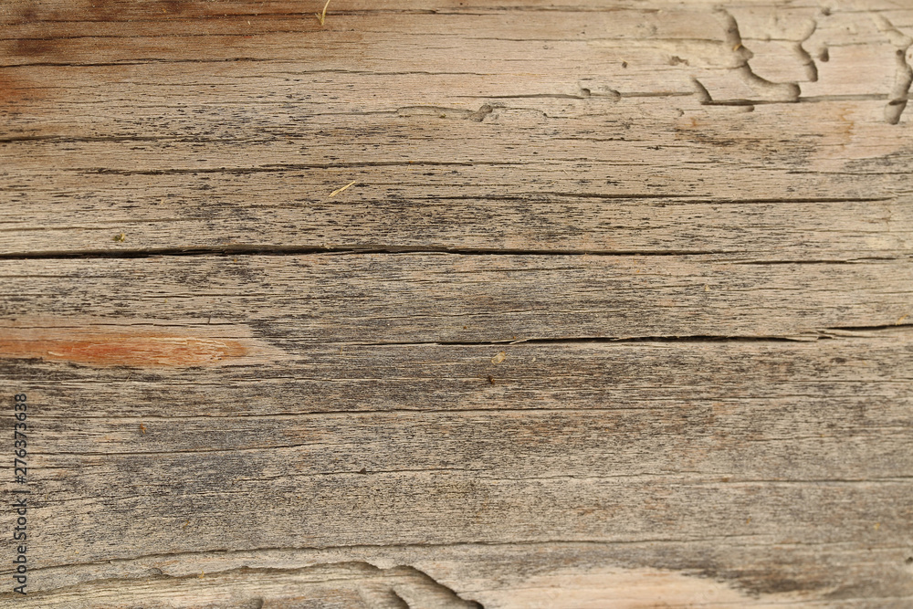 Naklejka premium Alte graue Holztextur mit Holzwurmspuren als Hintergrund