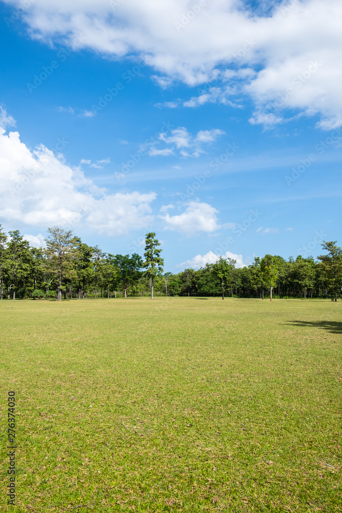 Park with green grass field , Beautiful park scene background Park with green grass field , Beautiful park scene background