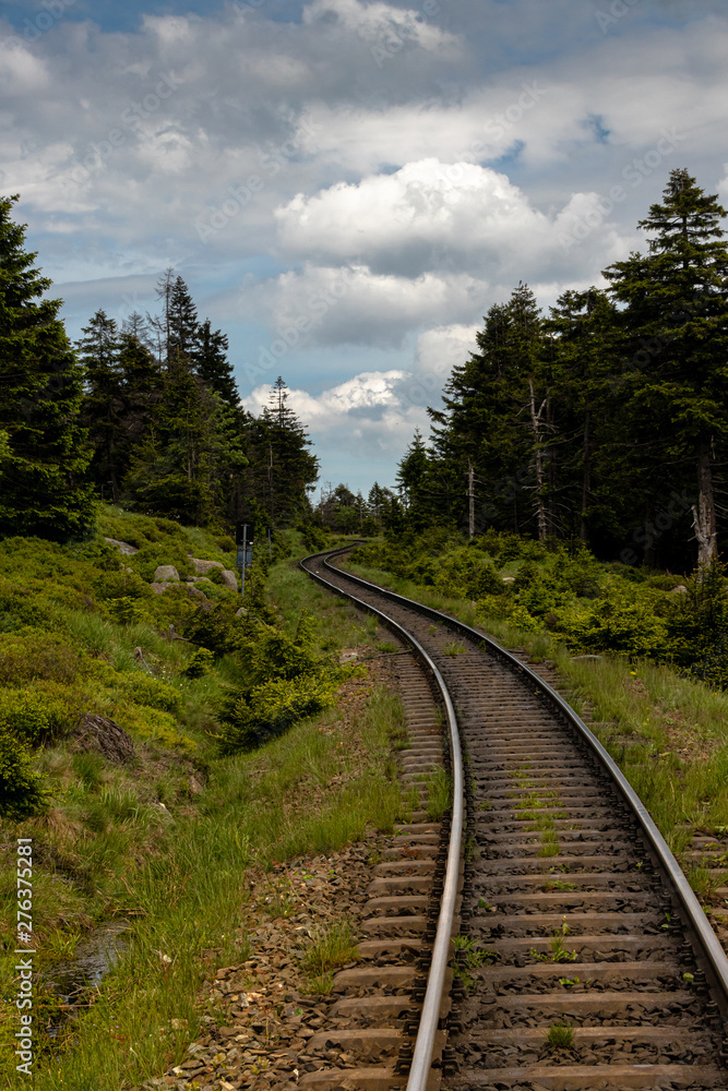 Fototapeta premium Gleise durch Brocken Landschaft