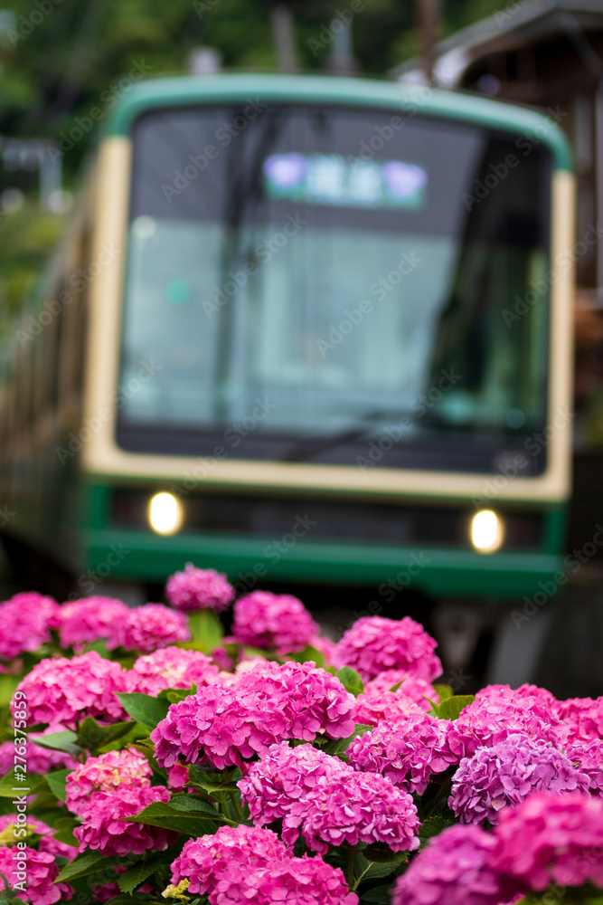 custom made wallpaper toronto digital紫陽花