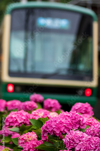 Wallpaper Mural 紫陽花 Torontodigital.ca