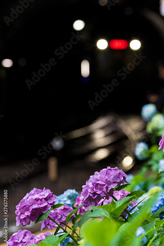 Wallpaper Mural 紫陽花 Torontodigital.ca