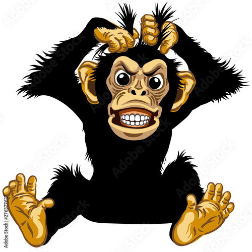 cartoon chimp or chimpanzee monkey pulls his fur hair out and showing his teeth. Angry or stressed emotion. Sitting pose in the front view. Isolated vector illustration