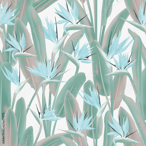 Tropical crane flower vector seamless pattern. Jungle plant paradise tropical summer fabric design. South African plant tropical blossom of crane flower, strelitzia. Floral textile print.